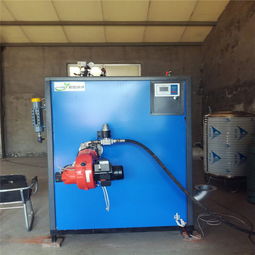 全自动立式燃气锅炉生物质蒸汽发生器 羊肚菌灭菌的高效节能解决方案