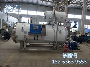 专业杀菌锅安装 羊肚菌灭菌器的正确安装与使用指南