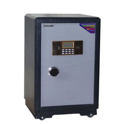 专业守护，安全无忧——家寳牌防火防盗保险柜与灭菌锅炉