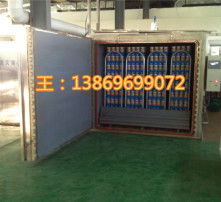 高清图片展示 羊肚菌灭菌器的工作原理与行业应用