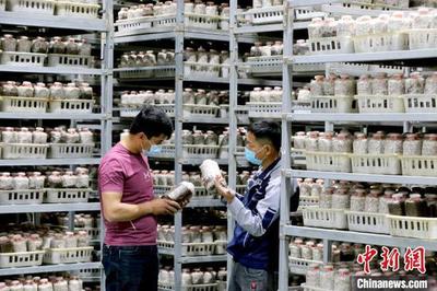 新疆洛浦菌菇成长记 灭菌方柜的科技力量