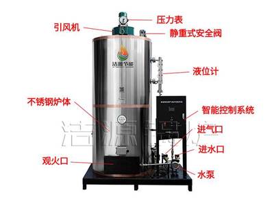 灭菌蒸汽锅炉 高效灭菌的工业利器