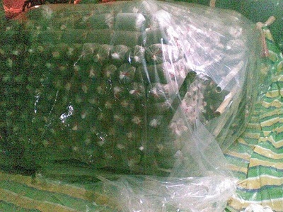 从企业黄页到专业平台 解析香菇灭菌锅炉与灭菌方柜的生产与应用